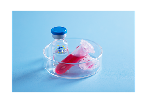 [GEN-PYT447-25ug] Visfatin Mouse
