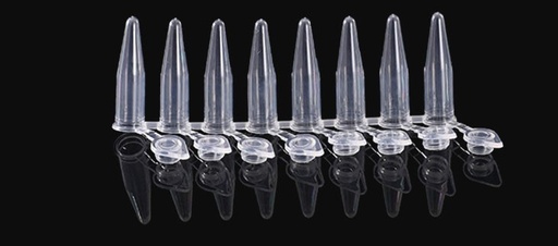 [SK-SAMPLE-37] PCR 8/4 Strips